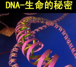 生命的本質是信息資源