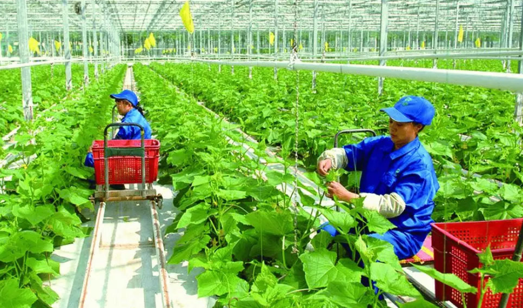 農(nóng)業(yè)3.0—高速發(fā)展的自動化農(nóng)業(yè)