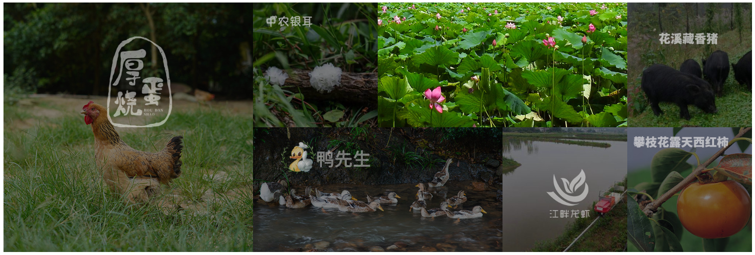 物聯網+農業 讓智慧農耕“可感可知”