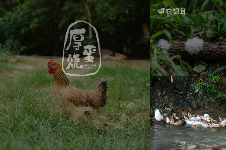 物聯(lián)網(wǎng)可以解決農(nóng)業(yè)的哪些問(wèn)題？