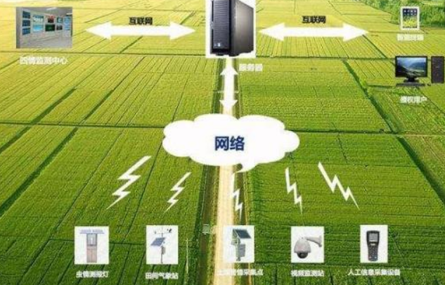 農(nóng)業(yè)可視化管理實(shí)現(xiàn)智能植物工廠
