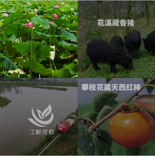 智慧農(nóng)業(yè)發(fā)展現(xiàn)狀