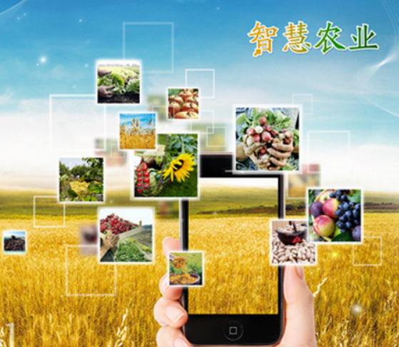 智慧農(nóng)業(yè)闡述資源如何高效利用