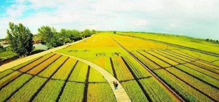 打造智慧農(nóng)業(yè)實現(xiàn)創(chuàng)新發(fā)展
