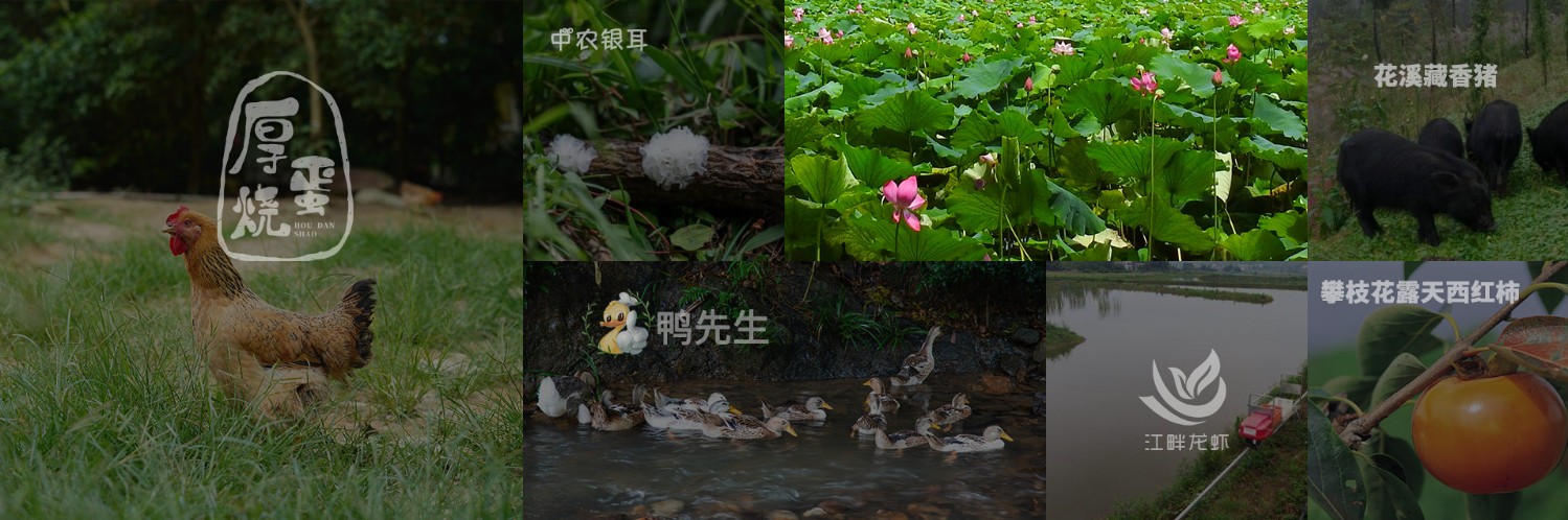 農(nóng)業(yè)物聯(lián)網(wǎng)技術的優(yōu)勢