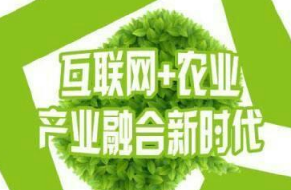 互聯網技術支持現代農業快速發展