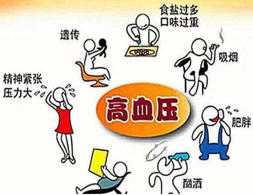 高血壓病人長期服藥對肝腎的影響及解決方法